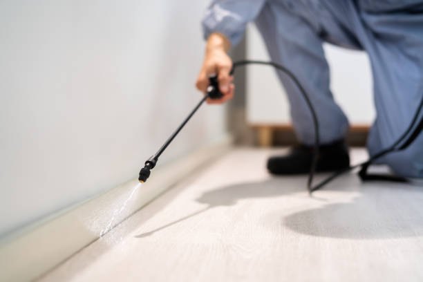 Rodent Entry Point Assessment in Lemmon Valley