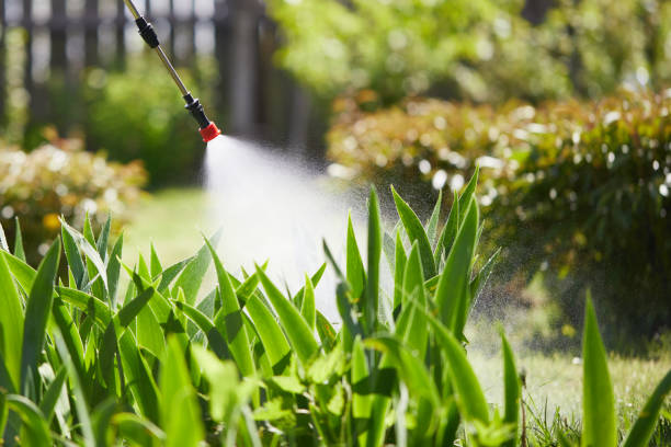Tamper-Resistant Bait Stations for Rodents in Lemmon Valley